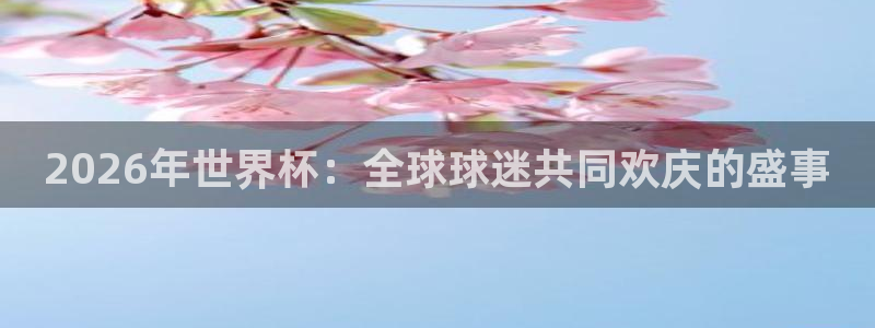 世界杯直播在线观看入口：2026年世界杯：全球球迷共同欢庆的盛事