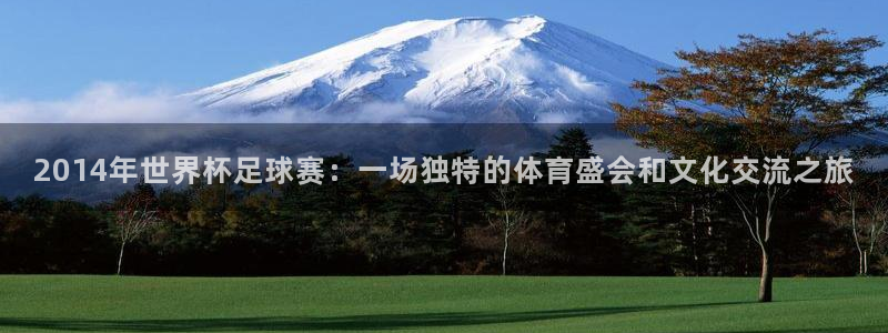 2026世预赛全部赛程：2014年世界杯足球赛：一场独特的体育盛会和文化交流之旅