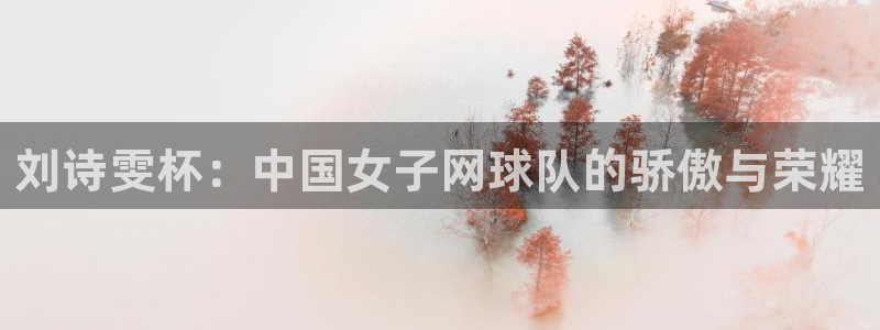 足球世预赛：刘诗雯杯：中国女子网球队的骄傲与荣耀