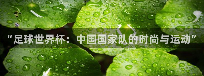2006世界杯：“足球世界杯：中国国家队的时尚与运动”