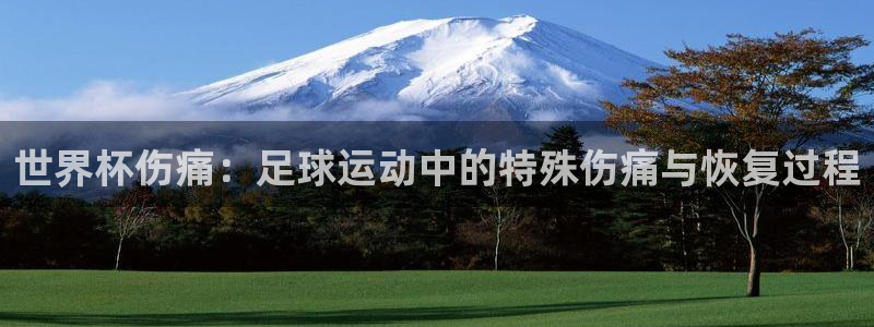 世界杯2026预选赛：世界杯伤痛：足球运动中的特殊伤痛与恢复过程