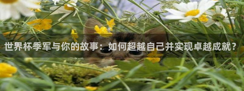 英足总杯直播：世界杯季军与你的故事：如何超越自己并实现卓越成就？