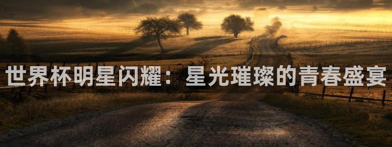 世界杯附加赛赛程表：世界杯明星闪耀：星光璀璨的青春盛宴