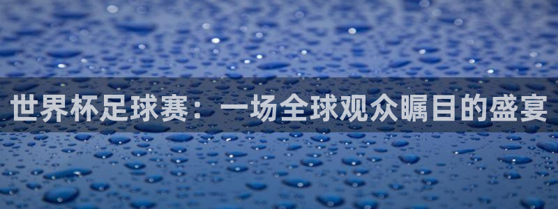 26世界杯：世界杯足球赛：一场全球观众瞩目的盛宴