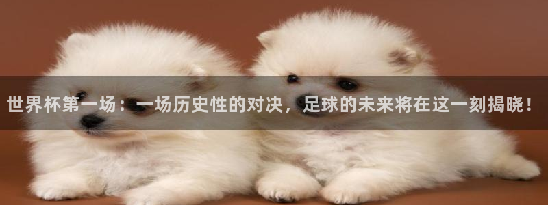 足球世界杯预选赛：世界杯第一场：一场历史性的对决，足球的未来将在这一刻揭晓！