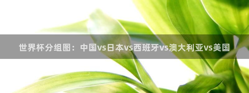 26世界杯：世界杯分组图：中国vs日本vs西班牙vs澳大利亚vs美国