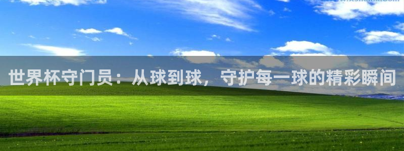亚洲杯足球：世界杯守门员：从球到球，守护每一球的精彩瞬间