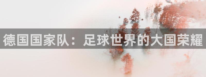 世界杯欧洲区预选赛赛程：德国国家队：足球世界的大国荣耀