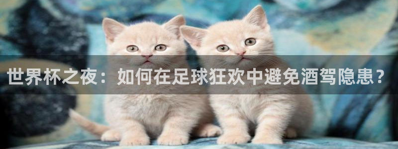 2026世界杯预选赛：世界杯之夜：如何在足球狂欢中避免酒驾隐患？