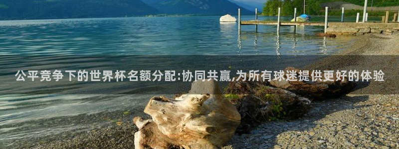 联赛杯直播：公平竞争下的世界杯名额分配:协同共赢,为所有球迷提供更好的体验