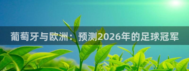 2026世预赛赛程：葡萄牙与欧洲：预测2026年的足球冠军