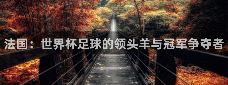 2026世界杯德国队阵容：法国：世界杯足球的领头羊与冠军争夺者