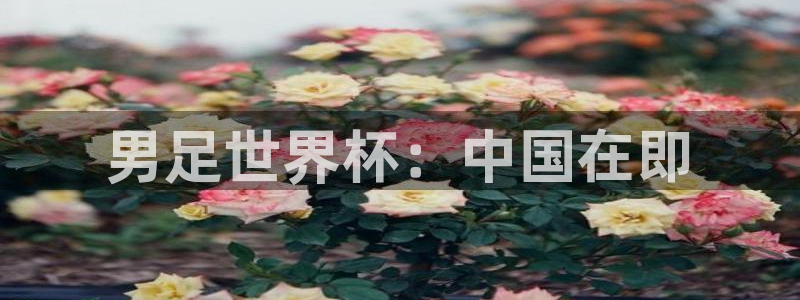 世界直播：男足世界杯：中国在即